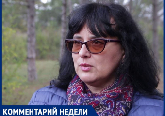 Как правильно и законно собирать валежник в лесах Волгодонска