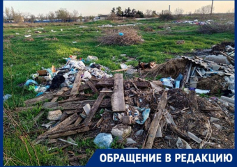 Разлагающиеся животные и вечные пожары: вблизи водонапорной скважины неизвестные создали свалку 