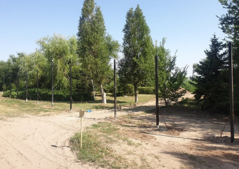 Волгодонск будет брать деньги за спиленные в городе деревья