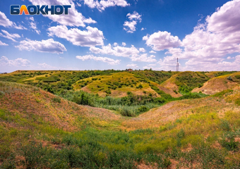 Окрестности Цимлянска обработают опасными для людей и пчел ядохимикатами