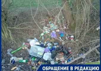 «Свиньи, а не люди!»:  жители Лагутников умудряются разводить свалку при регулярном вывозе отходов