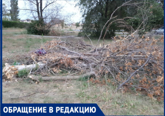 Последствия разбушевавшегося ветра в Волгодонске не убирают уже два месяца