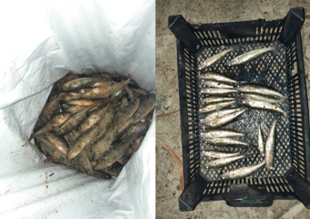 В Цимлянске задержали несколько браконьеров за ущерб природе почти в 300 тысяч рублей