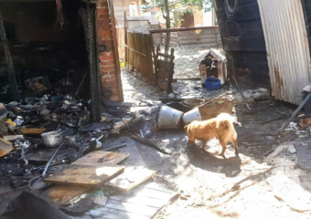 Бросился в огонь спасать пса: 71-летний мужчина пострадал при пожаре в Ремонтном