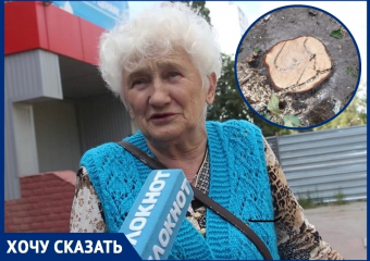 «Они уничтожили 30-летние деревья»: волгодонцы возмущены вырубкой деревьев