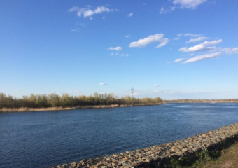 Очередной жаркий день в Волгодонске