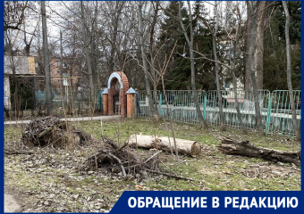 «Что за Бермудский треугольник?!»: Волгодонцы потребовали убрать горы веток рядом с «поликлиникой АЭС»