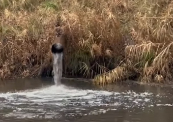 План по борьбе со зловонием из канализации появился в Цимлянске