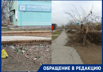 «Центральная улица города в безобразном состоянии»: жители квартала В-7 бьют тревогу
