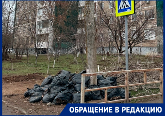 Забытые со времен субботника мешки с листьями до сих пор лежат у школы №22