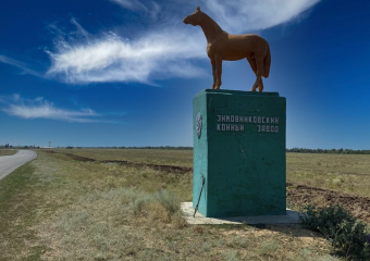 Дорогу с огромными ямами отремонтировали только после визита прокурора