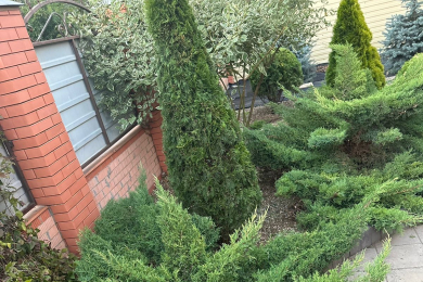 Уход за ландшафтом и садом от компании «АВТОПОЛИВ61.РФ» - 