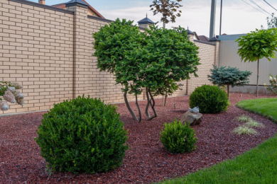 «Флора сервис», 8-918-509-31-49