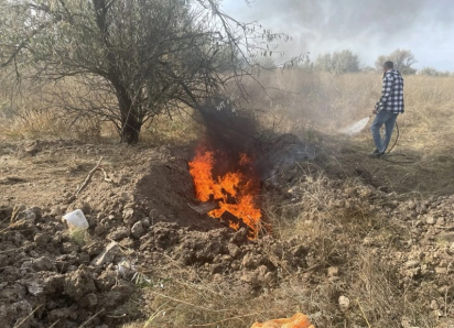 Свиней жгли полдня: тайный скотомогильник под Волгодонском ликвидировали