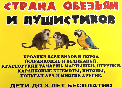 Экзотические обитатели тропиков прибудут в Волгодонск