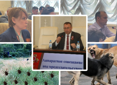 Клещи и собаки продолжают кусать волгодонцев: глава администрации потребовал усилить меры борьбы