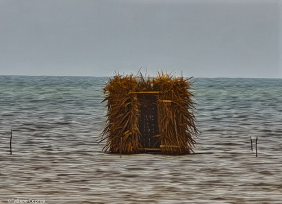 Странные шалаши и сторожевые башни на воде были обнаружены при понижении уровня Цимлянского водохранилища в Волгодонске