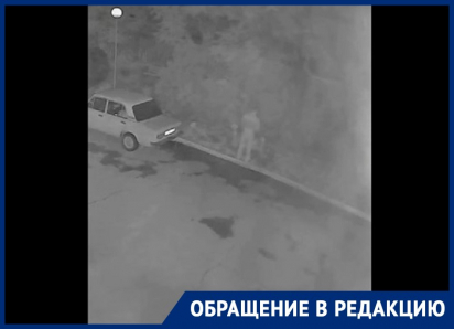 В Волгодонске появился последователь «Цветочного Потрошителя»: волгодончанка