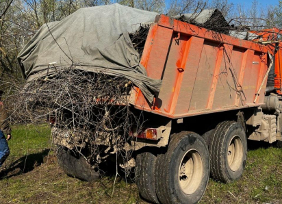  Освободите пространство от лишнего: «Домспецсервис» поможет избавиться от мусора законно и оперативно