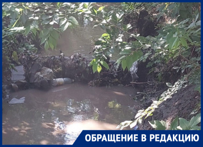 «Труп, алкаши и наркоманы»: волгодонцы возмущены запущенным состоянием ливнестока рядом с администрацией