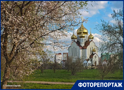 Прощай, апрель, ты был прекрасен: Волгодонск в объективе фотографа