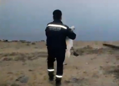 Застрявшего на середине моста лебедя выручили из беды спасатели в Волгодонске