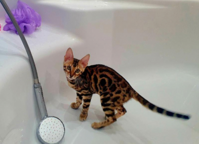 Фальстарт: гидравлические испытания тепловых сетей в Волгодонске перенесли на июнь 