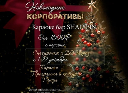 Новогодние корпоративы в караоке-баре «SHALYURIN»