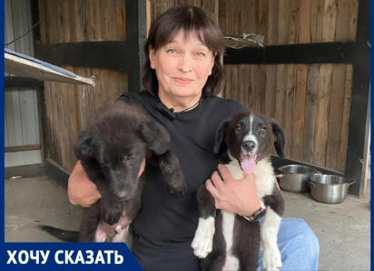 «Бороться нужно с бездомностью, а не с собаками: почему проблема бродячих животных - вина человека», - считает зооволонтер Лариса Семина 