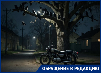 Мотоциклы и вороны превратили в ад жизнь волгодонцев