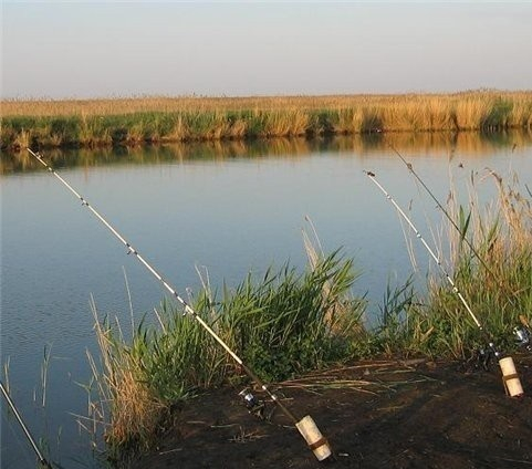 В ближайшие выходные в Цимлянском районе пройдут городские соревнования по рыбной ловле донной удочкой