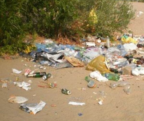 В Волгодонске городской пляж и прилегающую территорию почистят от мусора и сухих деревьев