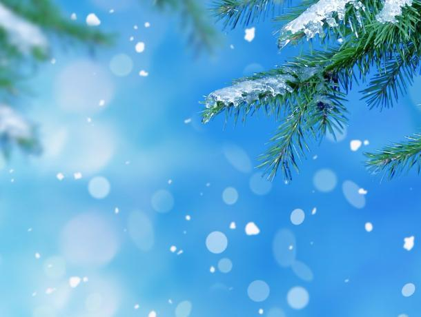 «Зимняя» неделя в Волгодонске закончится легким снегом и небольшим «минусом»