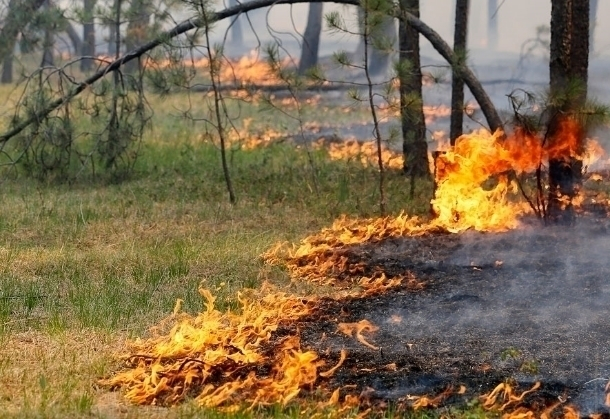 14 пожаров за сутки произошло в Волгодонске