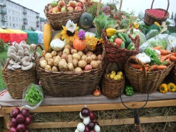 Производителей Волгодонска и близлежащих районов пригласили представить свои товары на ярмарке