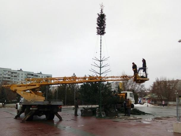 В Волгодонске приступили к установке новогодней елки на ДК имени Курчатова