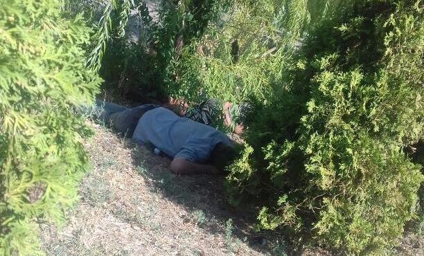Спящие в кустах пьяные друзья в сквере «Дружбы» испортили утро волгодонцам