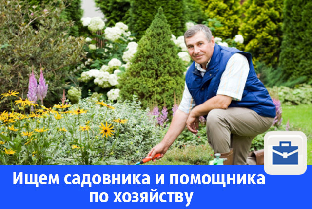 В Волгодонске ищут садовника и помощника по хозяйству