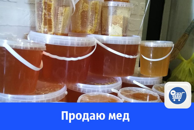 В Волгодонске продают мед урожая 2018 года