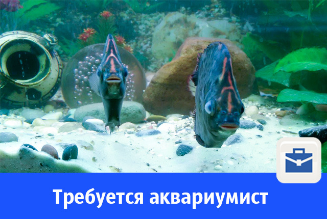 В Волгодонске в компанию требуется аквариумист