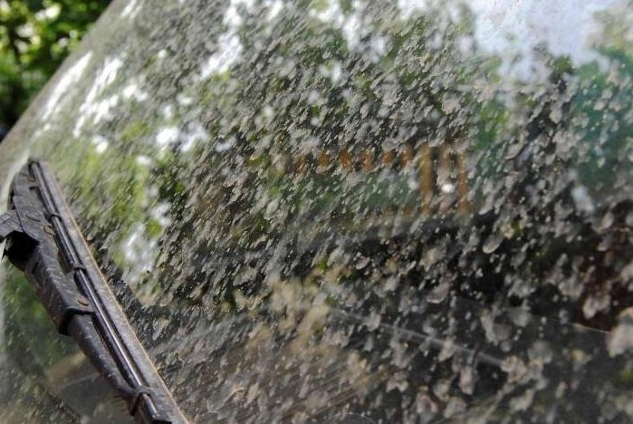 Грязный дождь в Волгодонске испачкал одежду и автомобили горожан