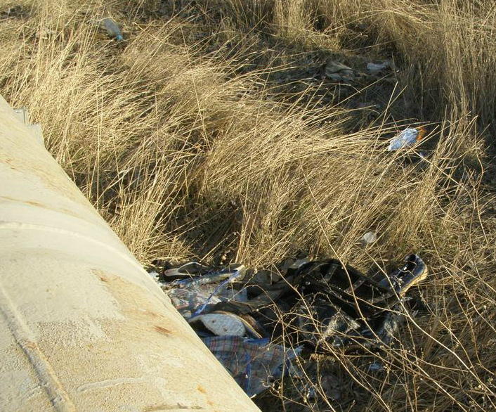 Скелетированный труп убитого мужчины нашли в камышах на берегу оросительного канала вблизи Волгодонска
