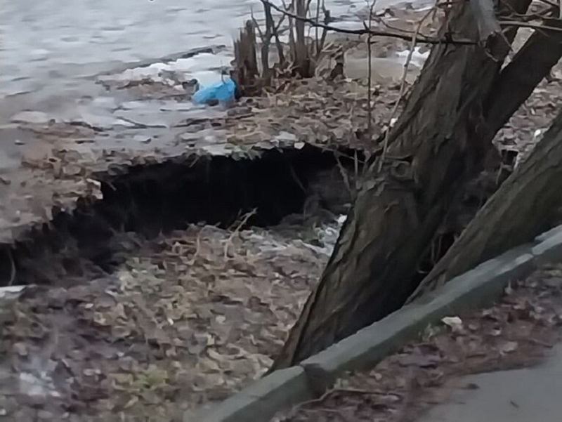 Дерево упало в новый канализационный провал на В-16