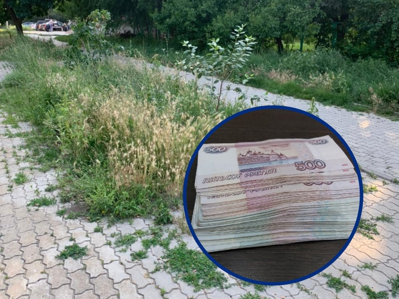 Компанию, так и не приступившую к покосу травы в Волгодонске, оштрафуют