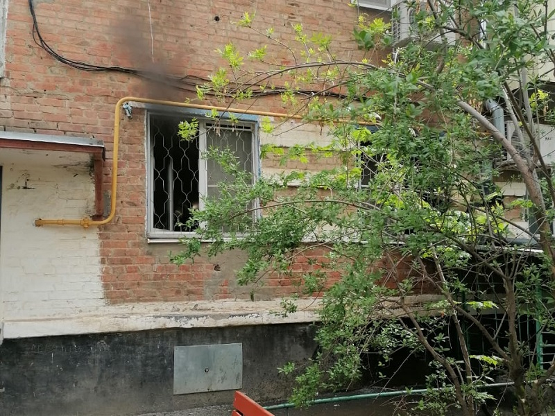 Двух кошек спасли пожарные из горящей квартиры в Волгодонске