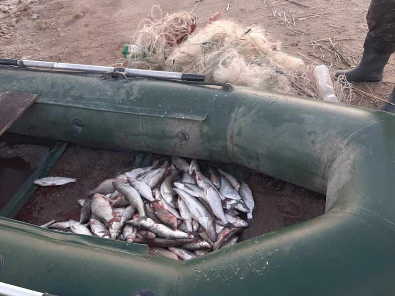 На Цимлянском водохранилище задержали браконьера на резиновой лодке