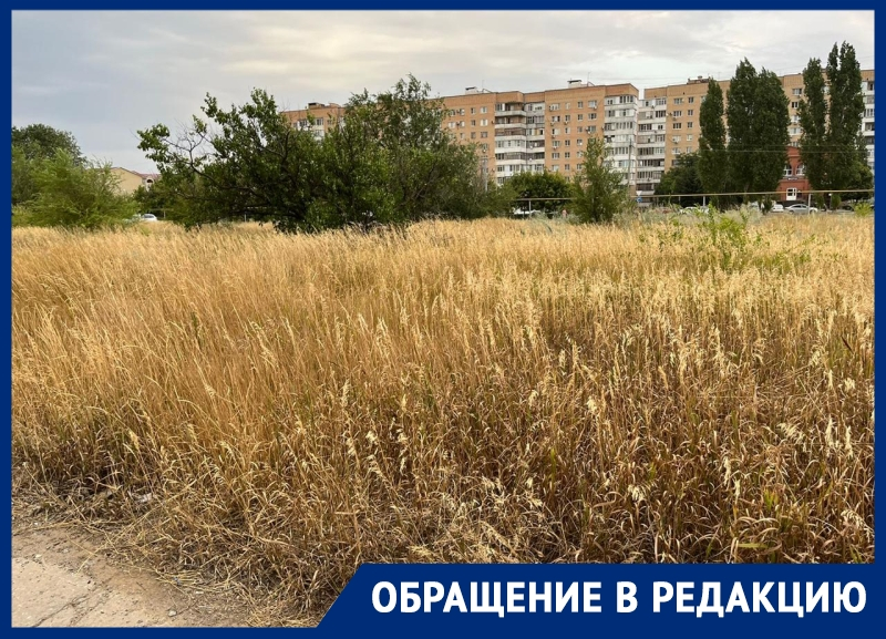 Коммерческий район Волгодонска под угрозой пожара: квартал ВЦ-1 зарос сухой травой
