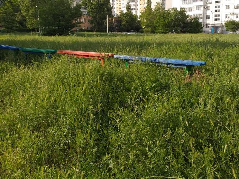 Траву в новой части Волгодонска перестали косить после «оскудения» подрядчиков