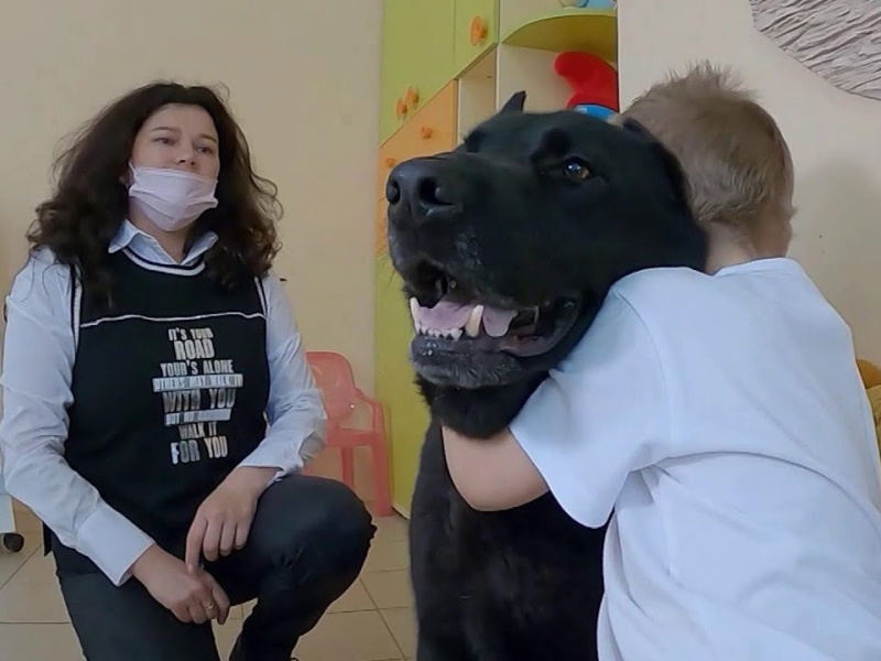«Первый канал» снял сюжет о том, как в Волгодонске лечат детей при помощи собак