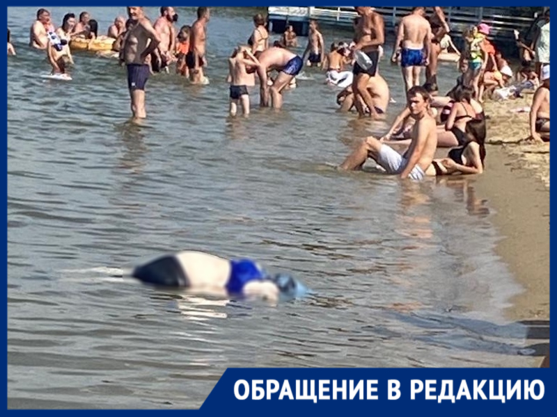 «Ничего человеческого»: волгодонцы о купающихся возле утонувшей женщины в Романовской